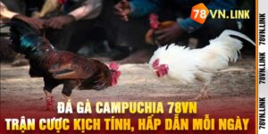 Đá Gà Campuchia 78VN Trận Cược Kịch Tính, Hấp Dẫn Mỗi Ngày